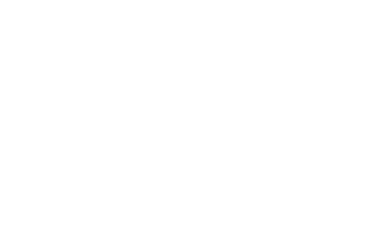 Vivi Dusk Logo